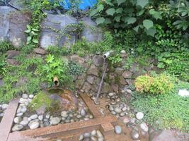 寿古墳公園下の湧水の写真