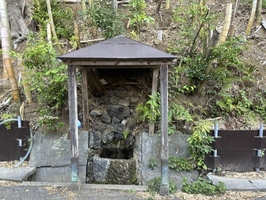 船戸の森下の湧水の写真