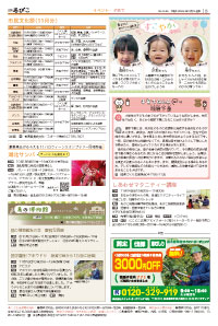 5面