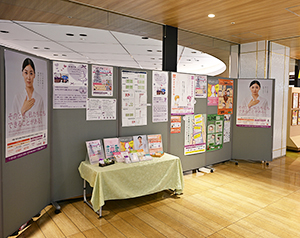 我孫子市「女性に対する暴力をなくす運動」企画展示